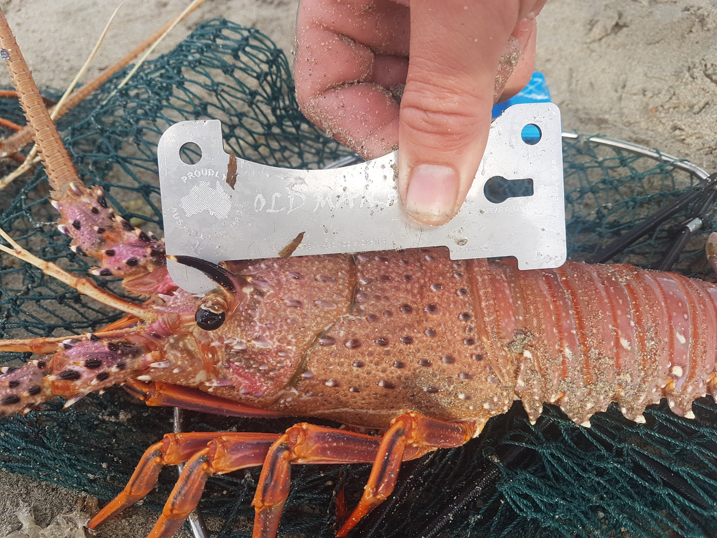 Crayfish Gauge Version 1.0 | Metropolitan Diving