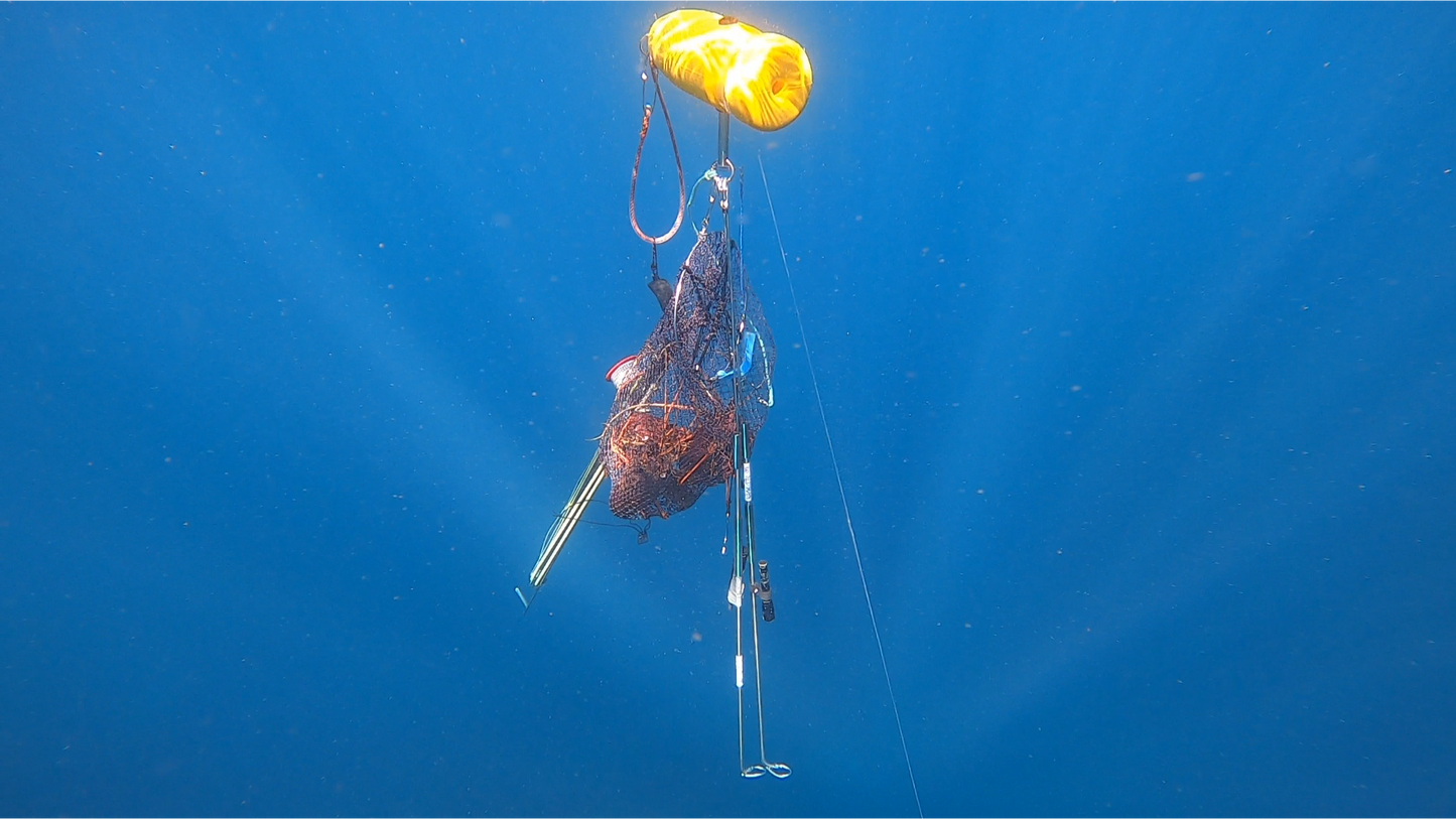SeaSac Catch Bag - Ultimate Lobster Diving and Crayfish Catch Bag