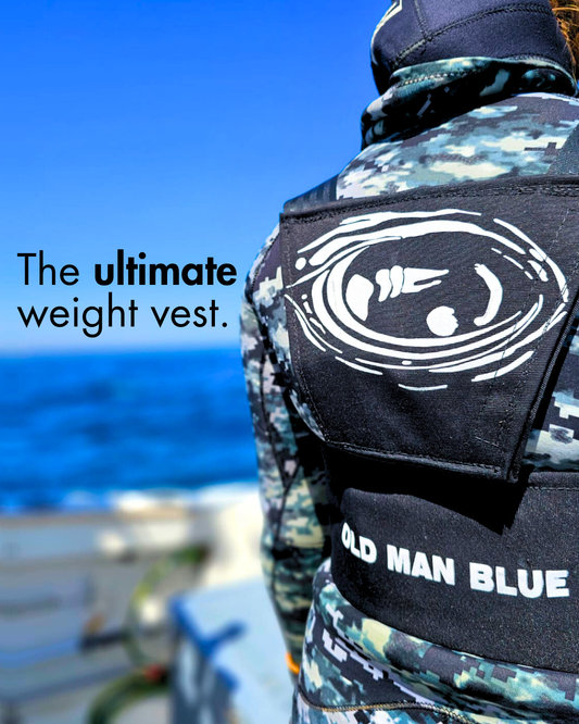 Orca Harness | Diving Weight Vest