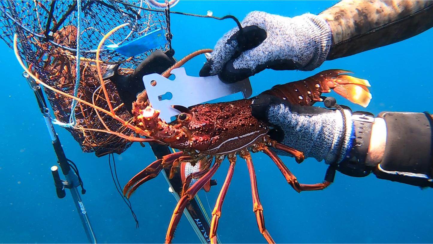 Crayfish Gauge Version 2.0 | Outback Diving